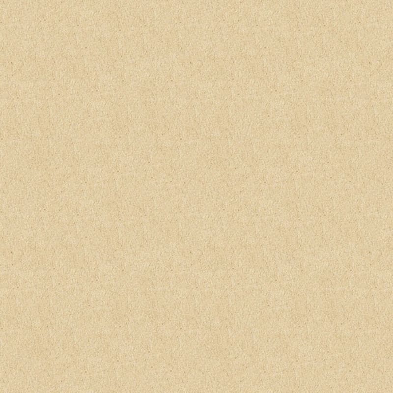 Oceanside carpet by Masland