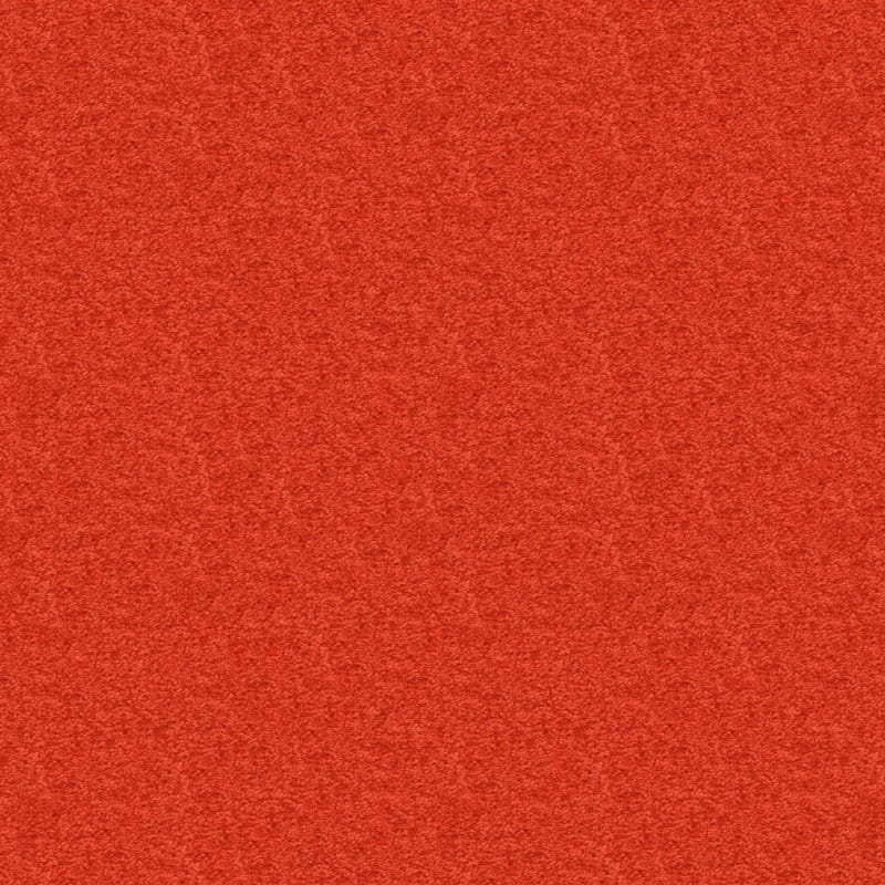 Vero Beach carpet by Masland