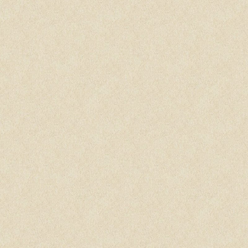 Oceanside carpet by Masland