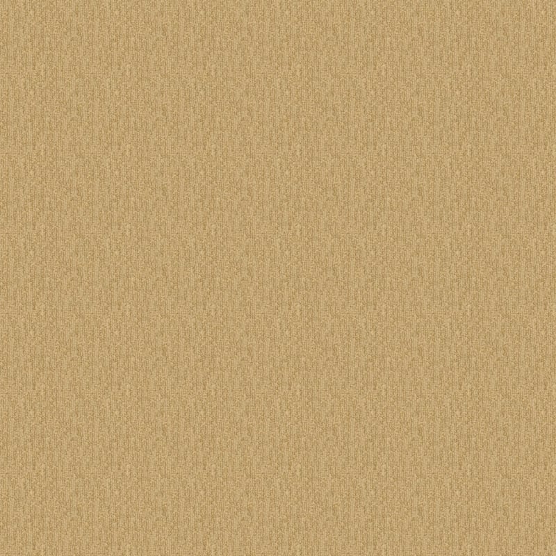 Casa Grande carpet by Masland