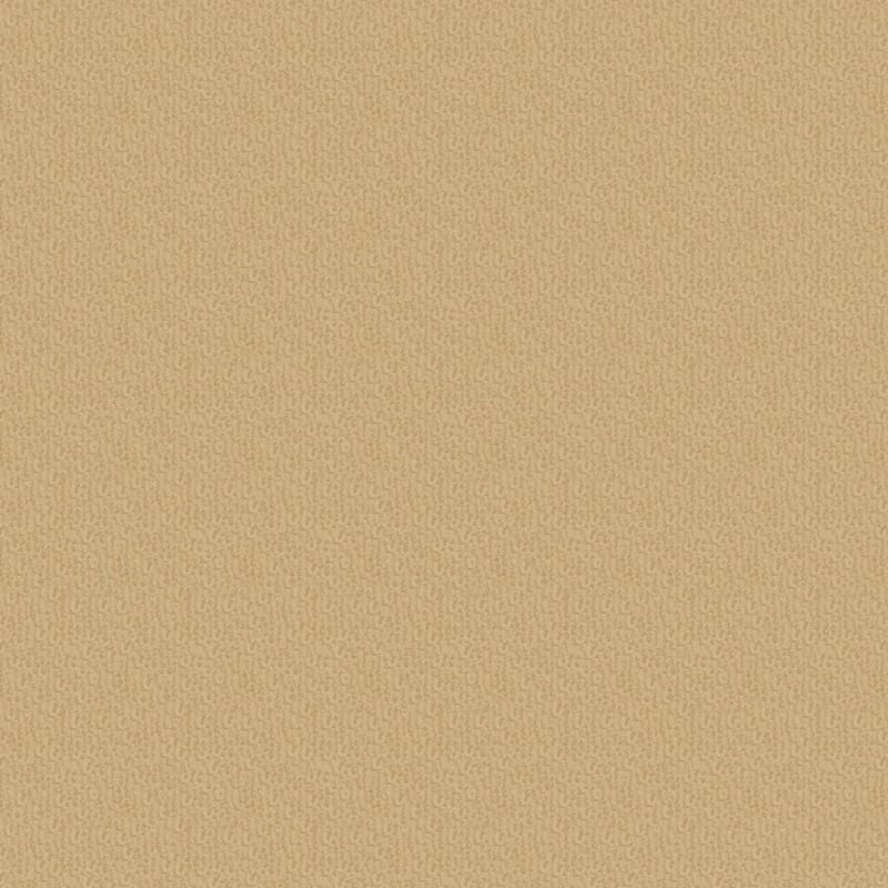 Pinehurst carpet by Masland