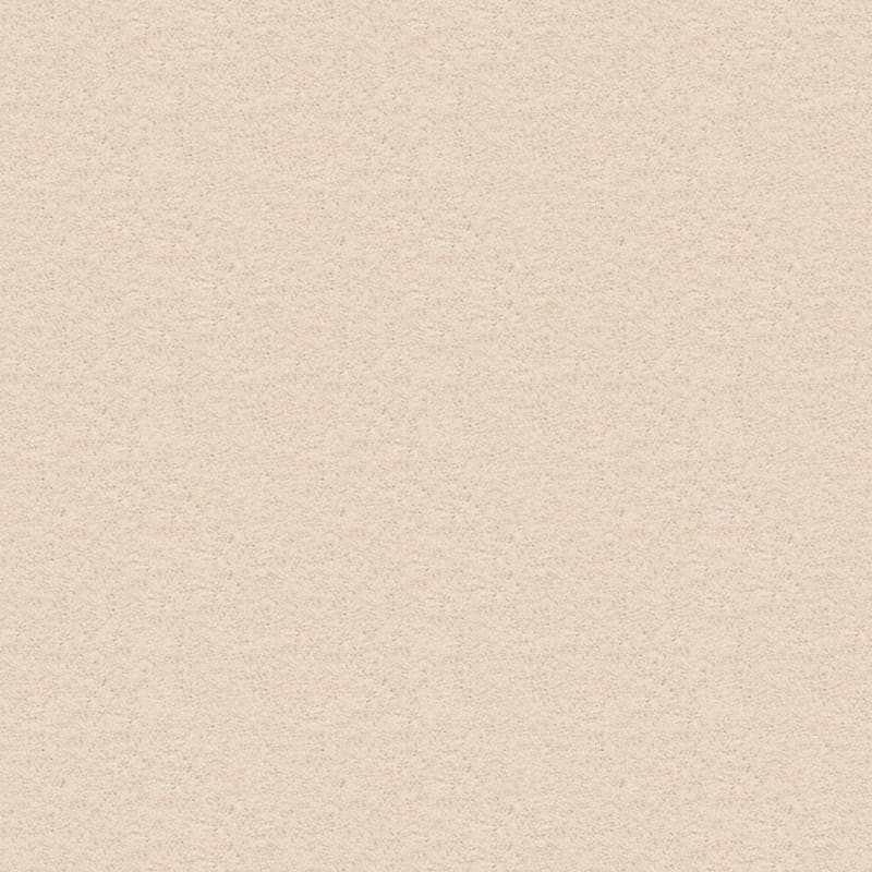 Ravishing carpet by Masland