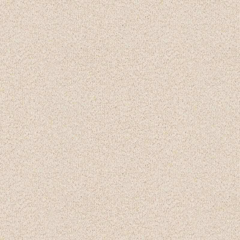 Santa Rosa carpet by Masland