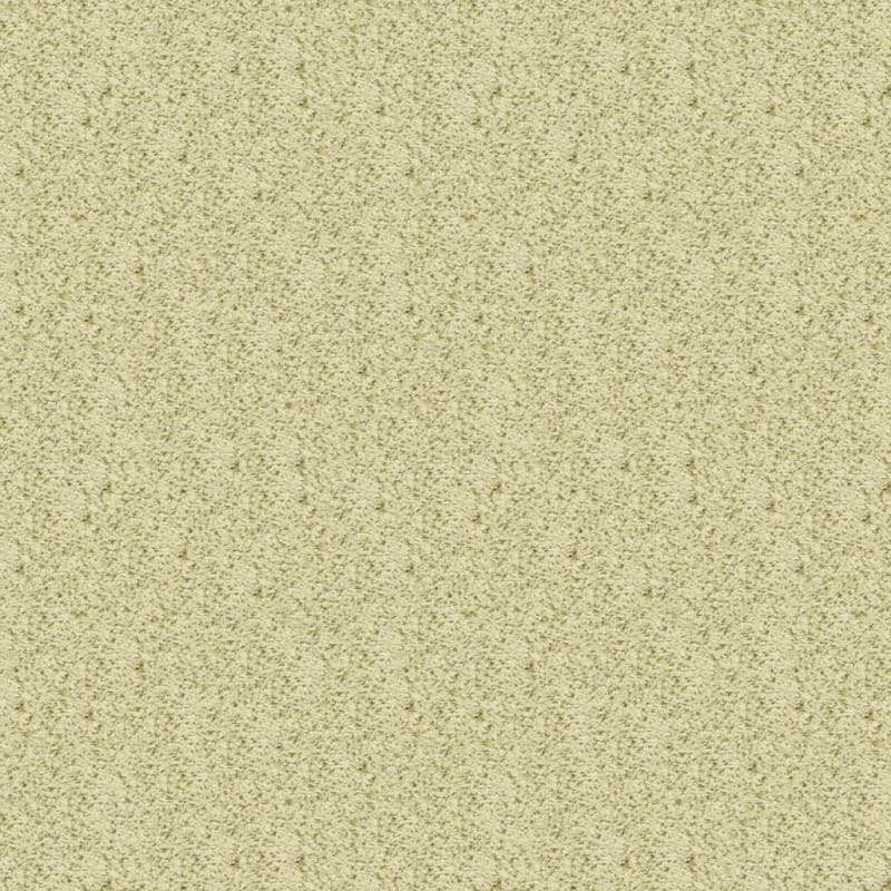 Sea Grass carpet by Masland