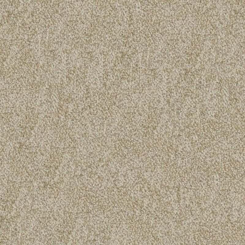 Buena Vida carpet by Masland