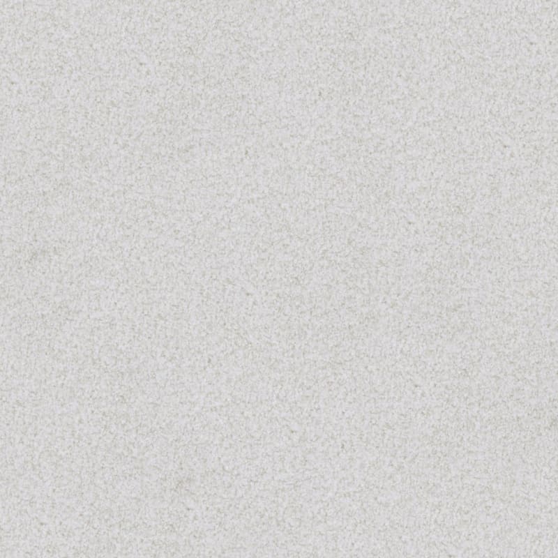 Boca Raton carpet by Masland