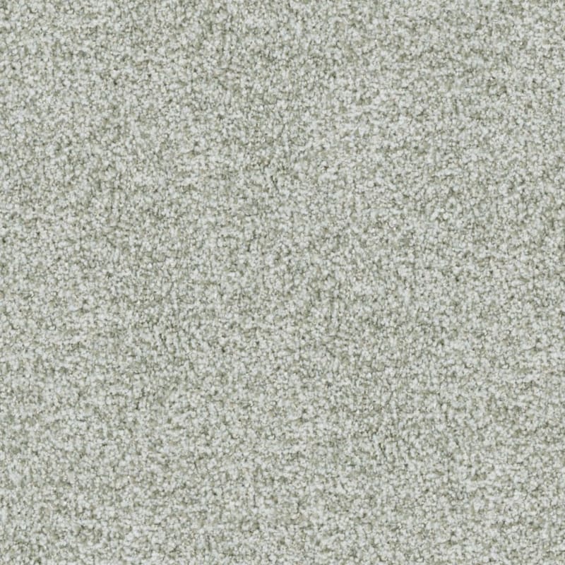 St. Augustine carpet by Masland
