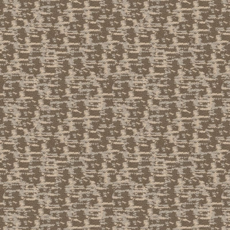 Censor carpet by Masland