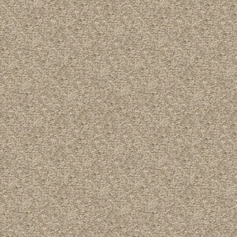 Staccato carpet by Masland