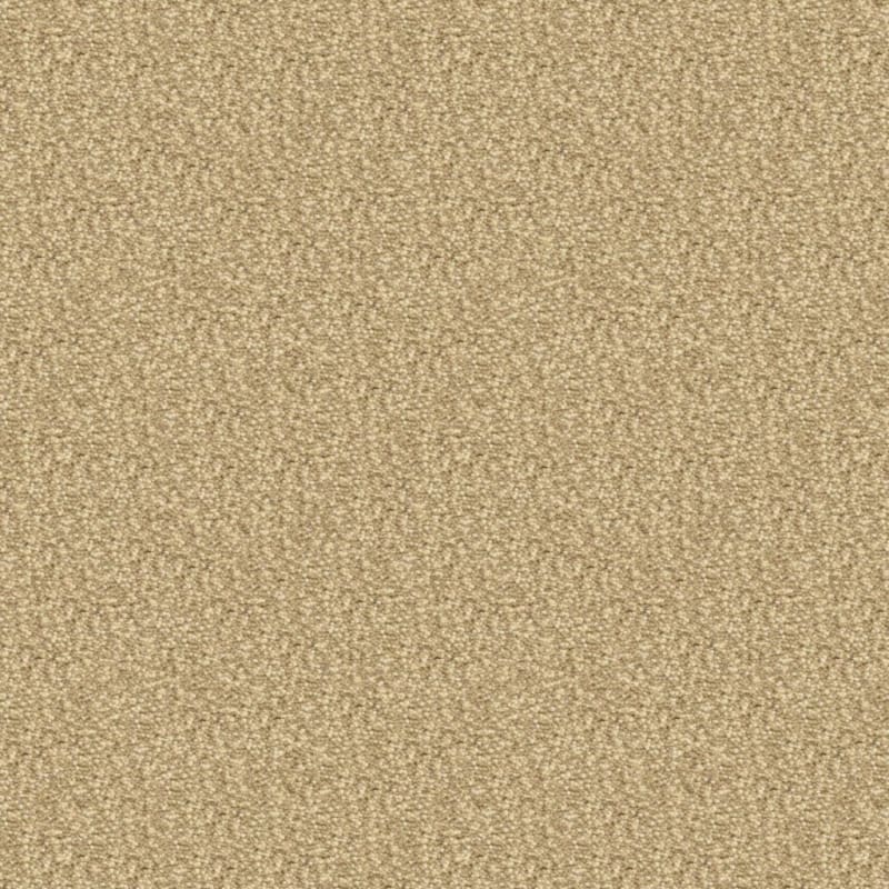 Staccato carpet by Masland