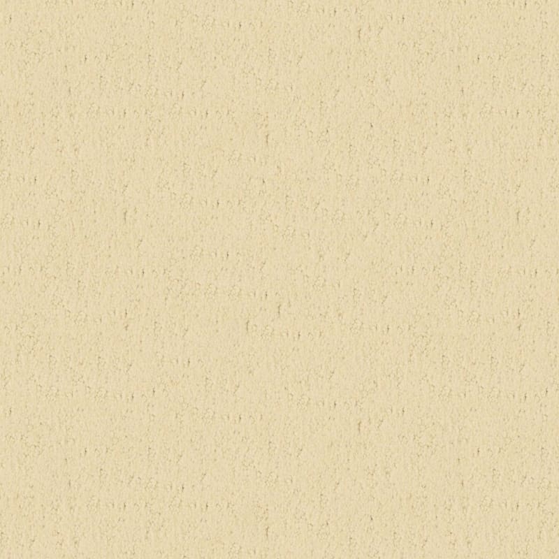 Santa Barbara carpet by Masland