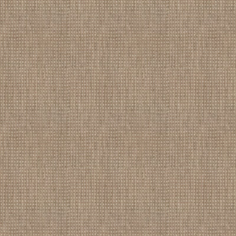 Imagine carpet by Masland