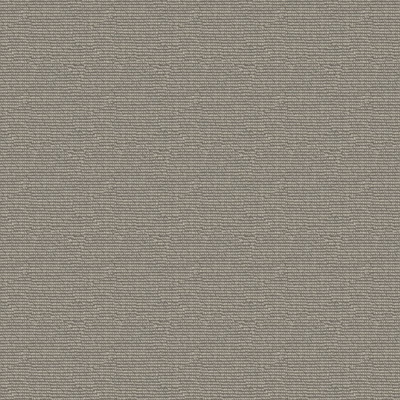 Tango carpet by Masland