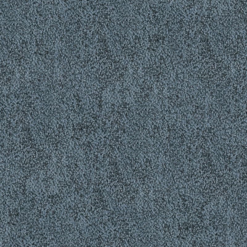 Buena Vida carpet by Masland