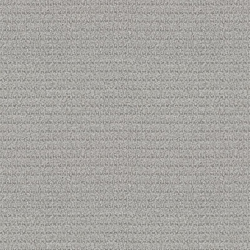 Defined carpet by Masland