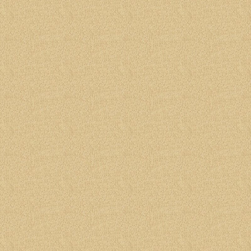 Oceanside carpet by Masland