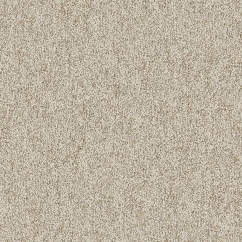 Buena Vida carpet by Masland