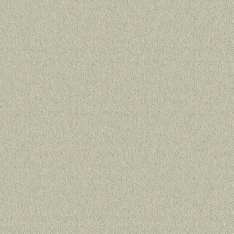 Panache carpet by Masland