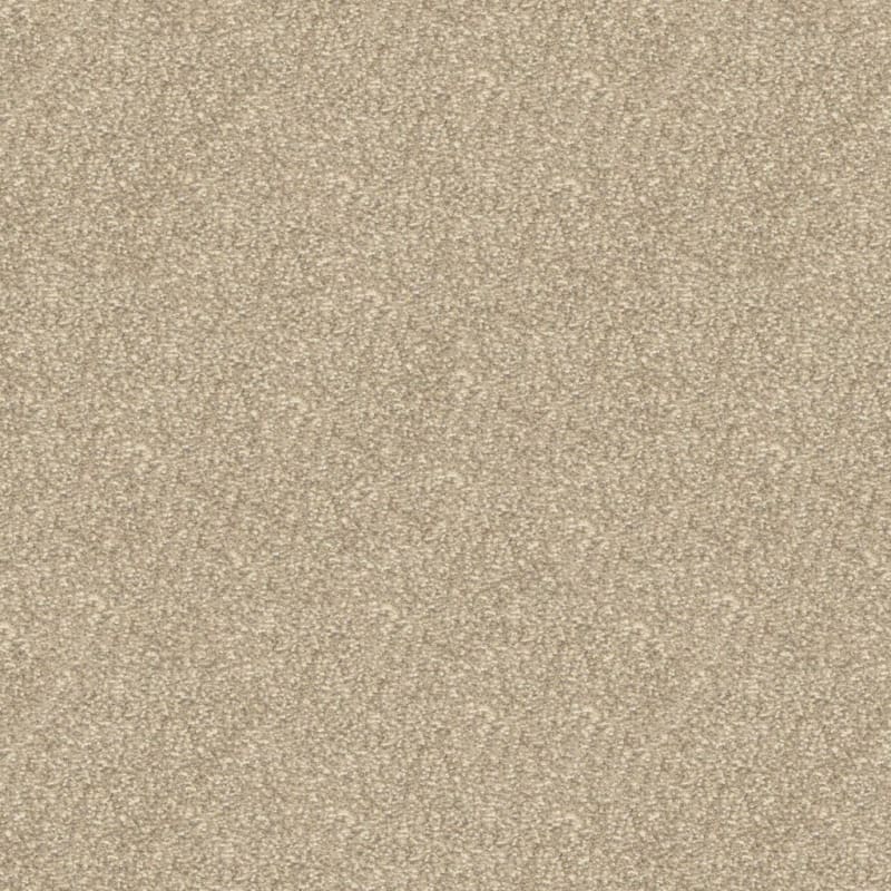 This And That carpet by Masland