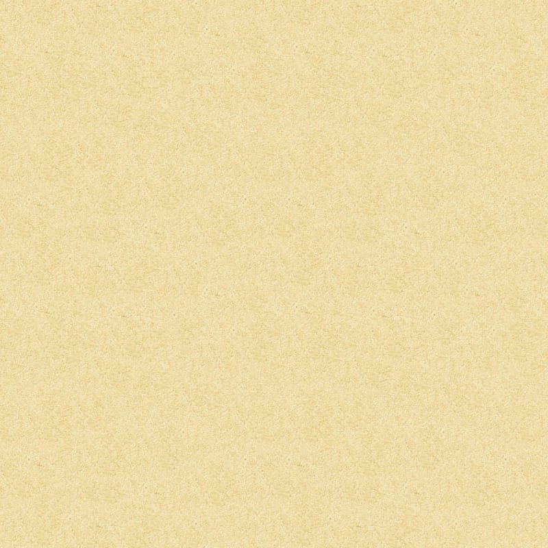 Vero Beach carpet by Masland