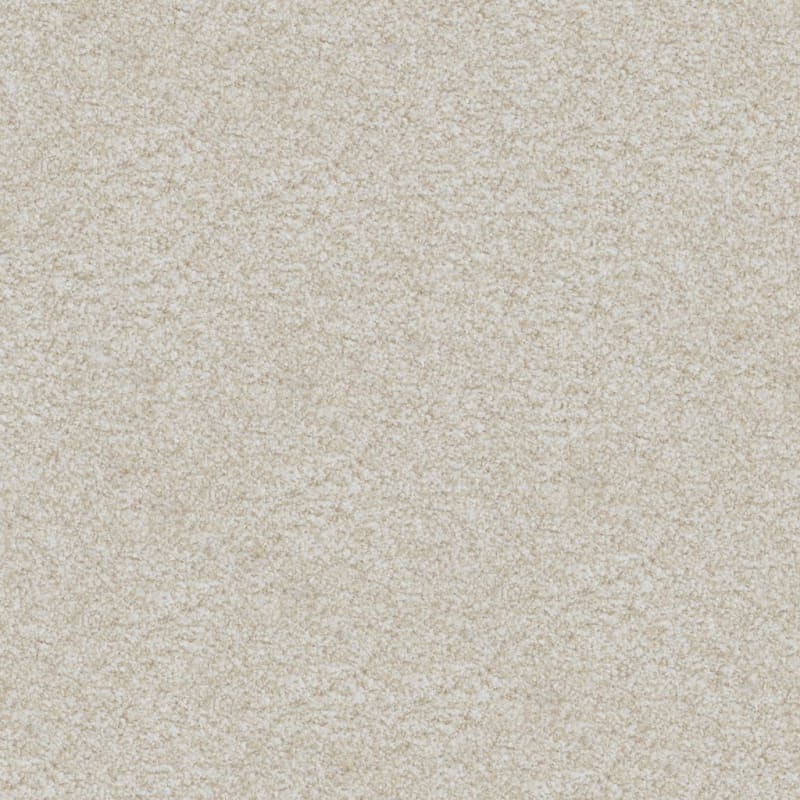 Boca Raton carpet by Masland
