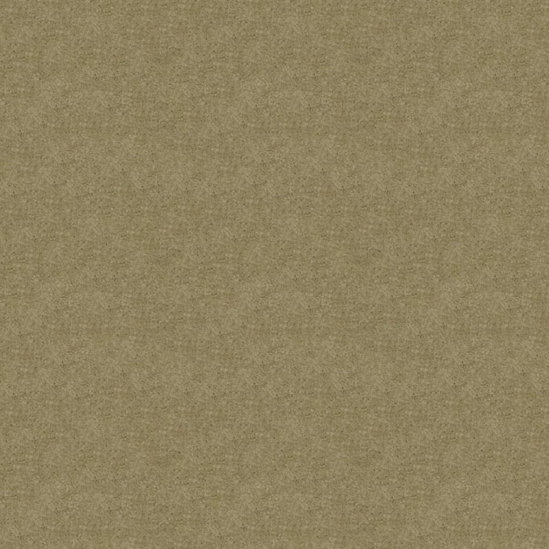 Embrace carpet by Masland
