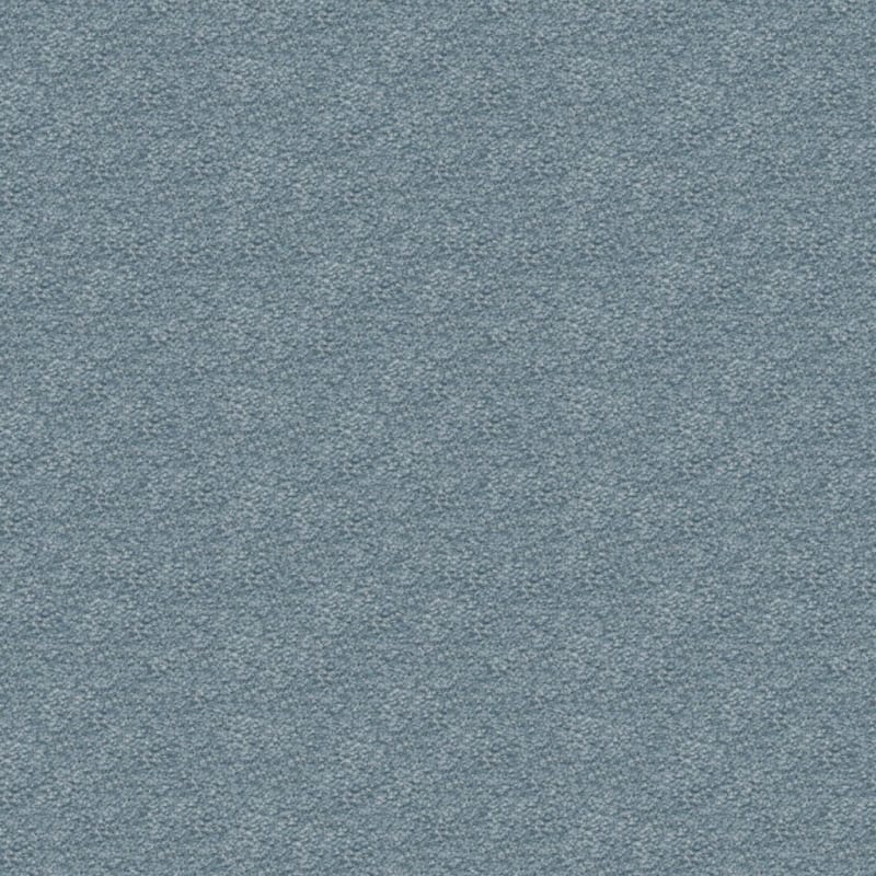 Ravishing carpet by Masland