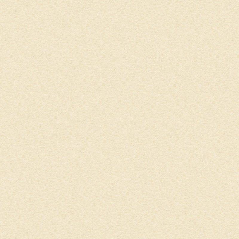 Vero Beach carpet by Masland