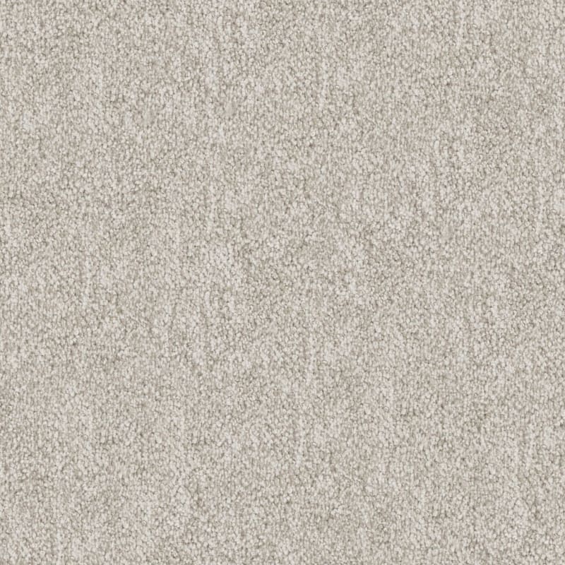 Buena Vida carpet by Masland