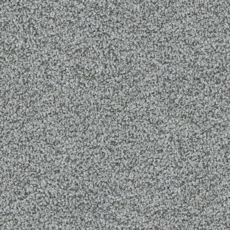 St. Augustine carpet by Masland