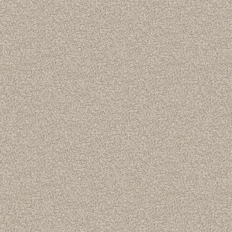Tracker carpet by Masland