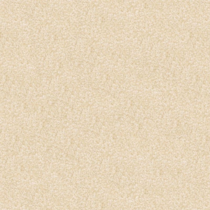 Beacon Hill carpet by Masland