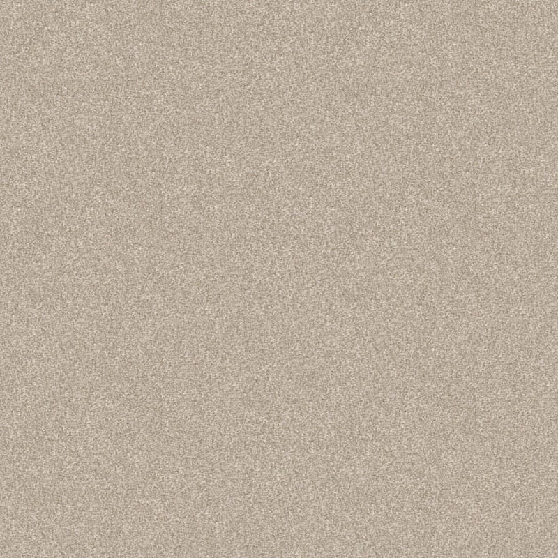 Hunter carpet by Masland