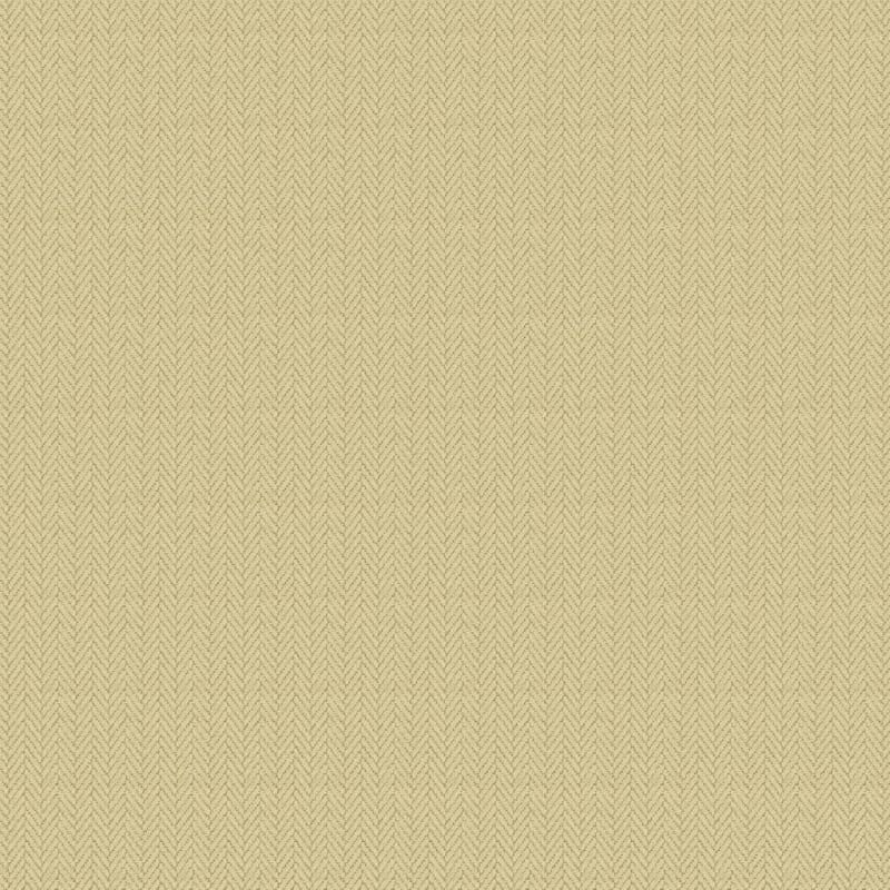 Distinguished carpet by Masland