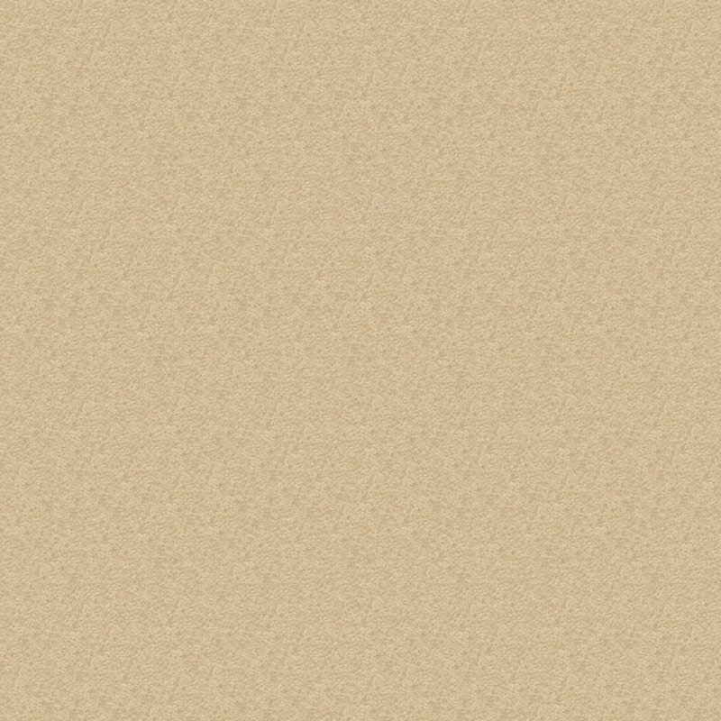 Patriot carpet by Masland