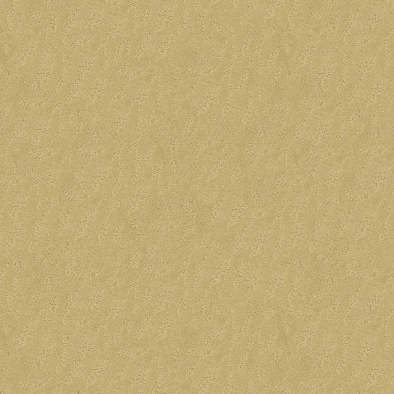 True Luxury carpet by Masland