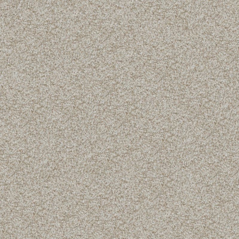 Boca Raton carpet by Masland