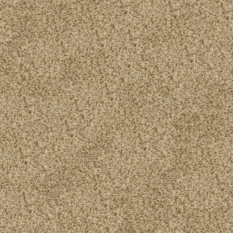 Harbor Town carpet by Masland
