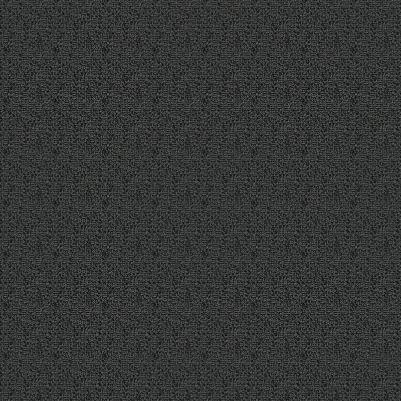 Pedigree carpet by Masland