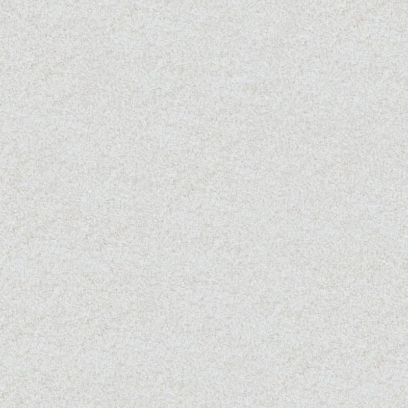 Boca Raton carpet by Masland