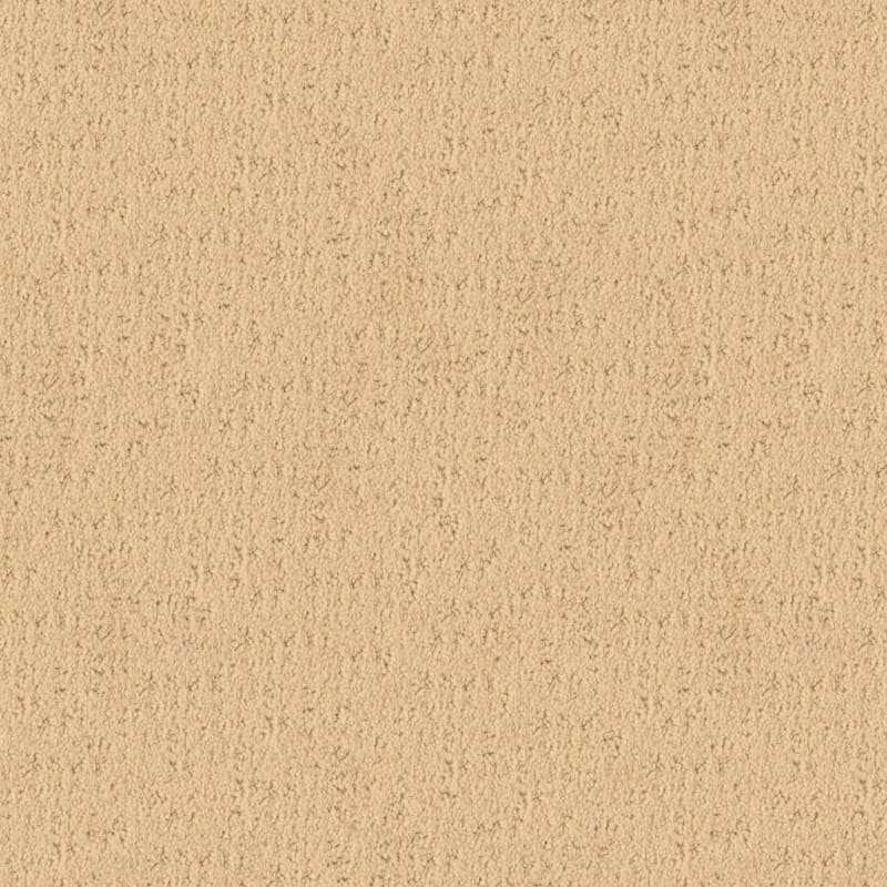 Santa Barbara carpet by Masland