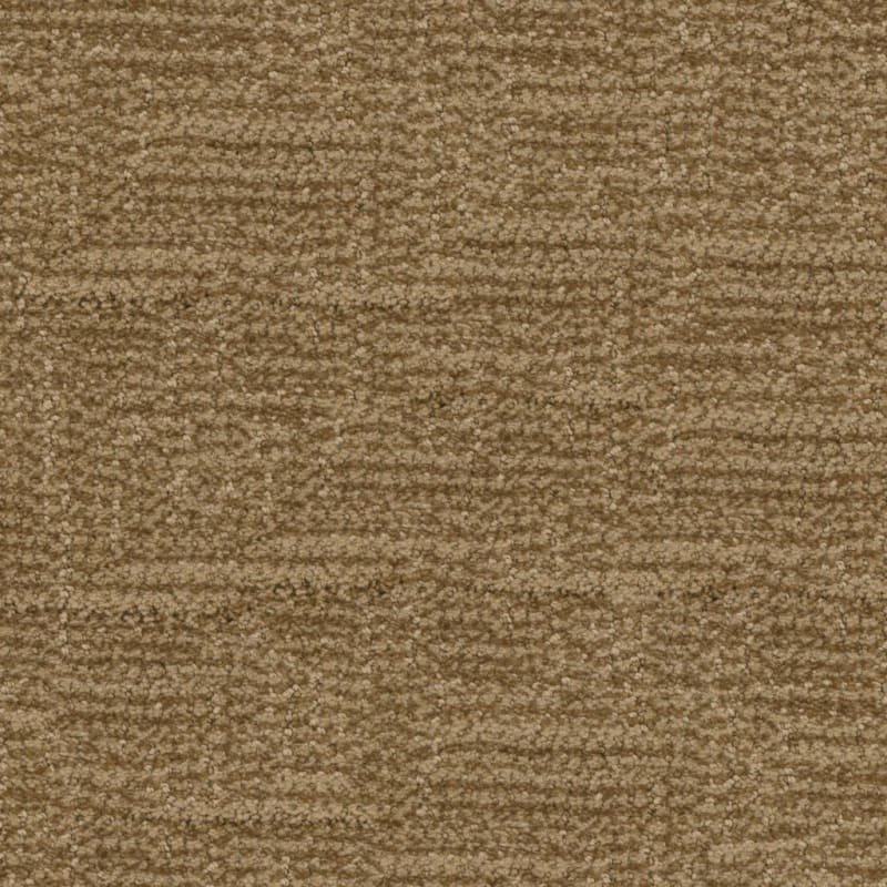 Prestigious carpet by Masland
