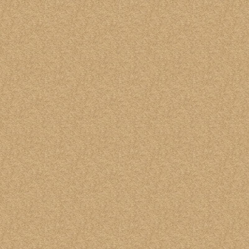 Patriot carpet by Masland