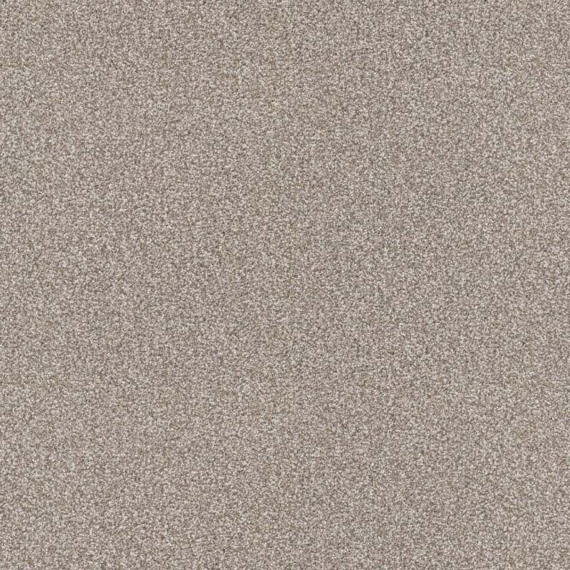 Tracker carpet by Masland