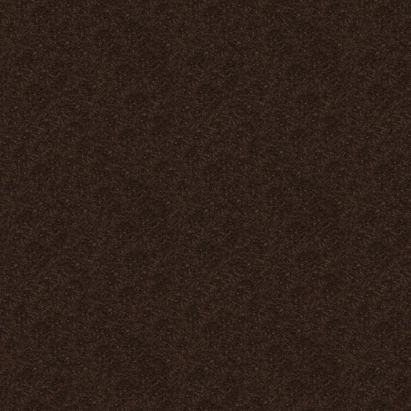 Embrace carpet by Masland