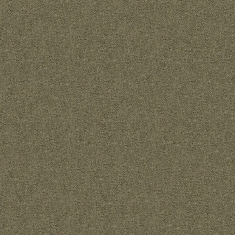 Embrace carpet by Masland