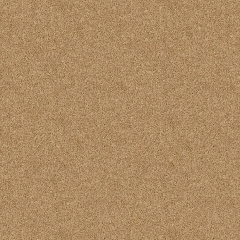 Oceanside carpet by Masland