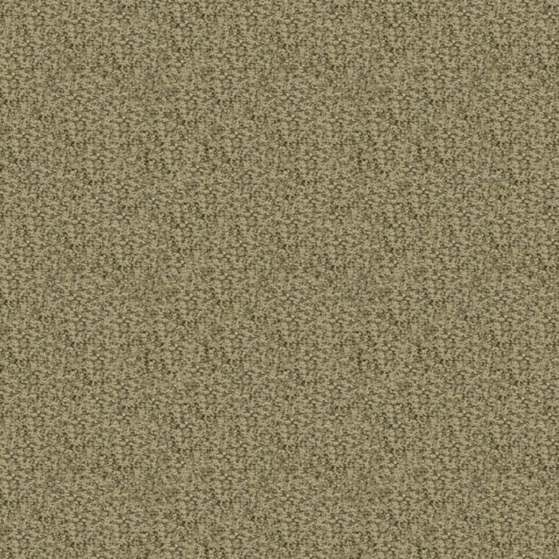 Sea Grass carpet by Masland