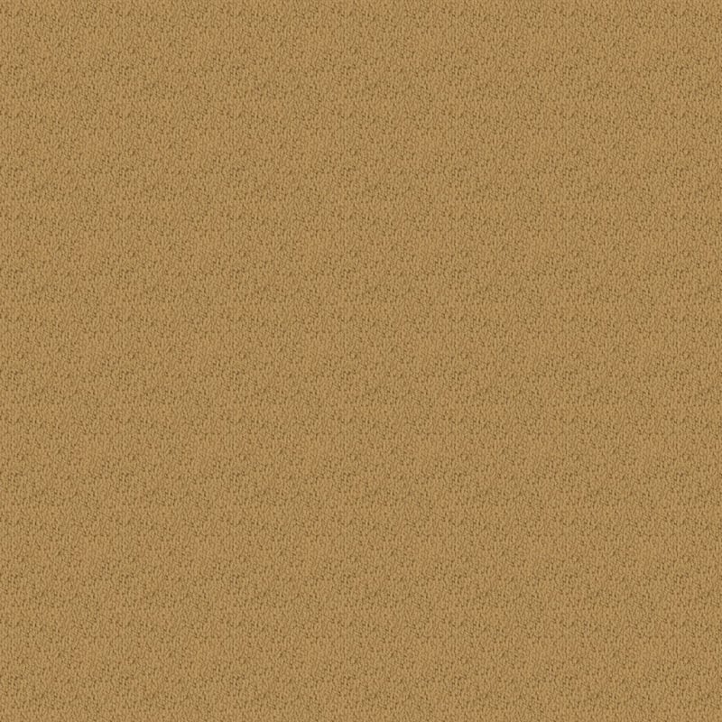 Novellino carpet by Masland