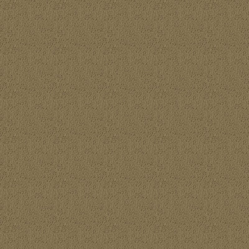Novellino carpet by Masland